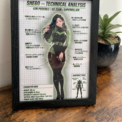 Cadre bois analyse technique shego